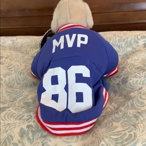 Small dog football player uniform